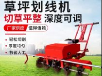 點(diǎn)擊查看詳細(xì)信息<br>標(biāo)題：草皮劃線(xiàn)機(jī) 閱讀次數(shù)：3549